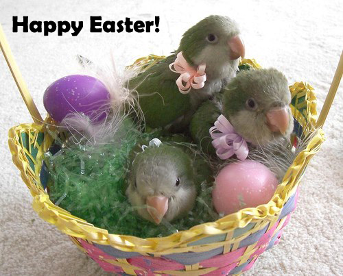 Happy Easter!