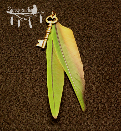 Key pendant with Conure feathers